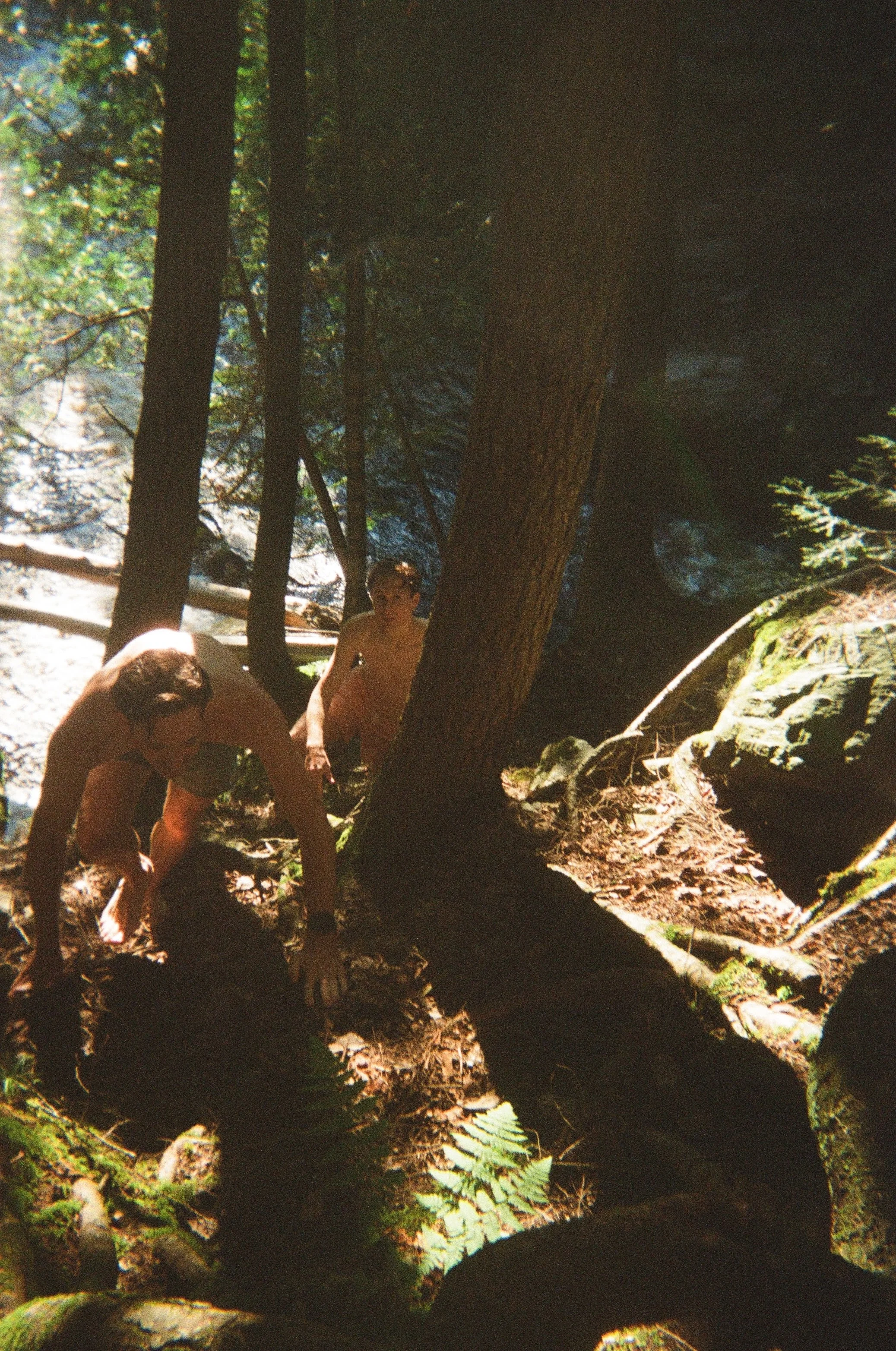 Summer in the Upper Peninsula - Photo 1