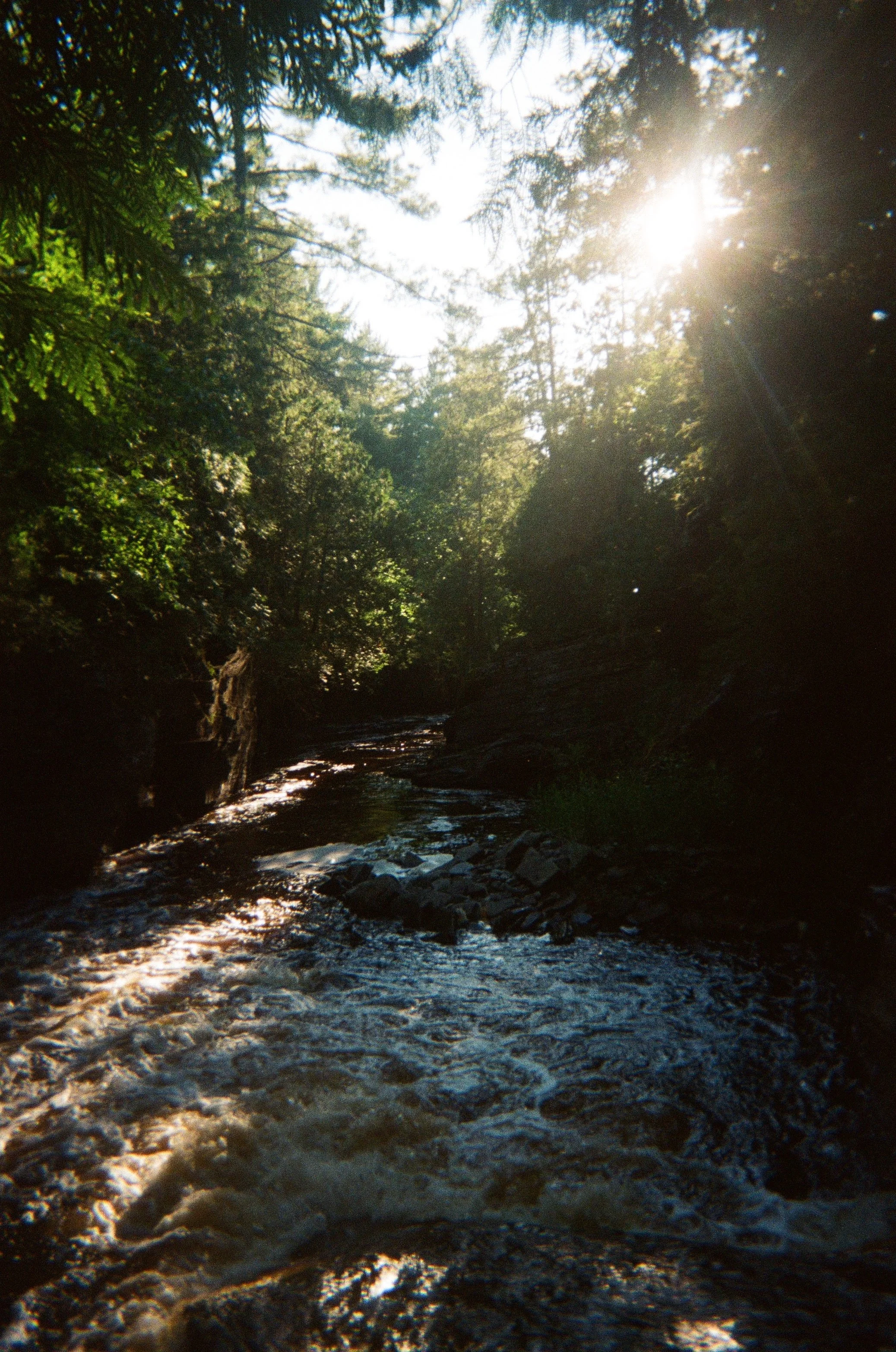 Summer in the Upper Peninsula - Photo 2