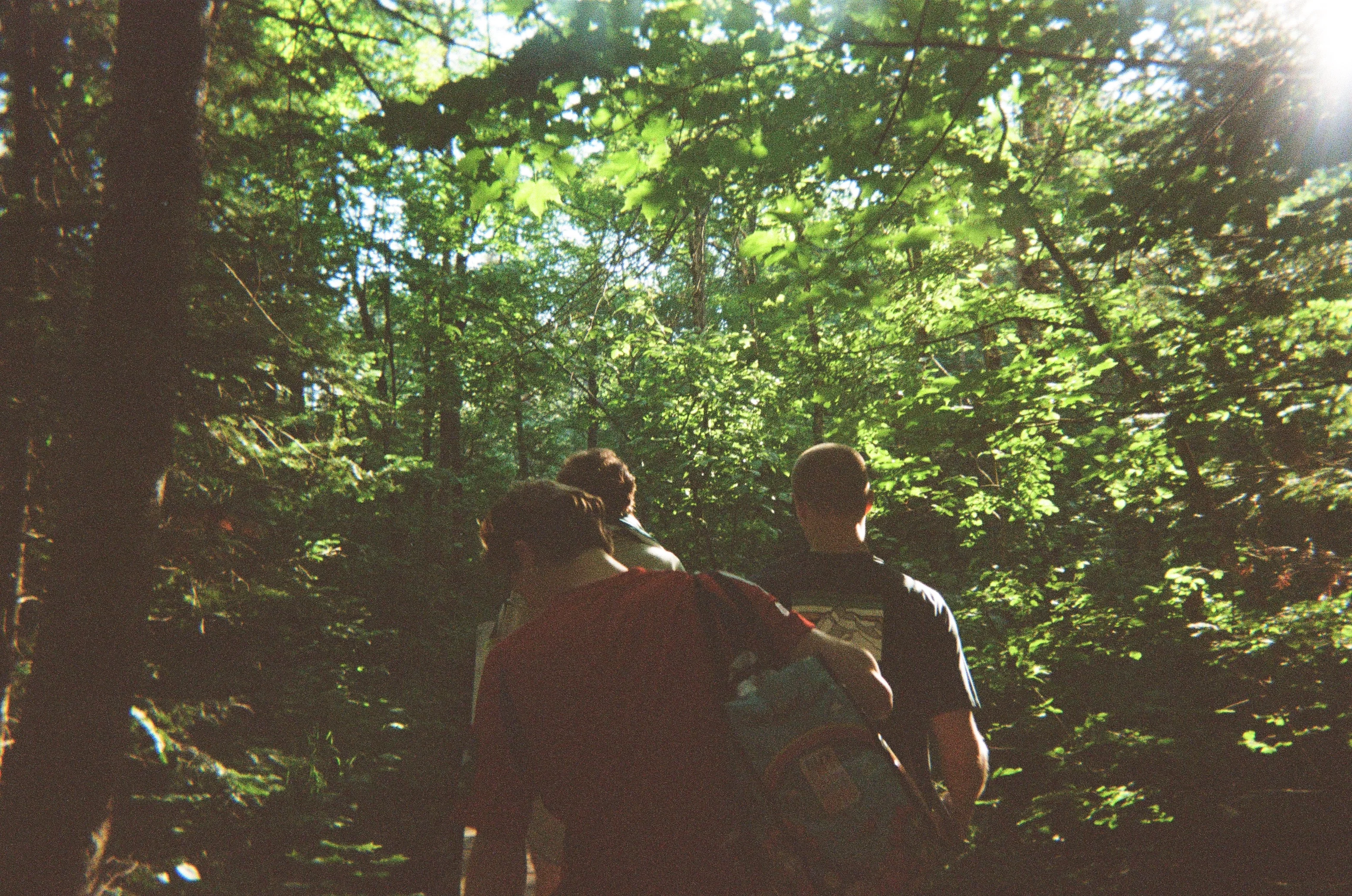 Summer in the Upper Peninsula - Photo 5