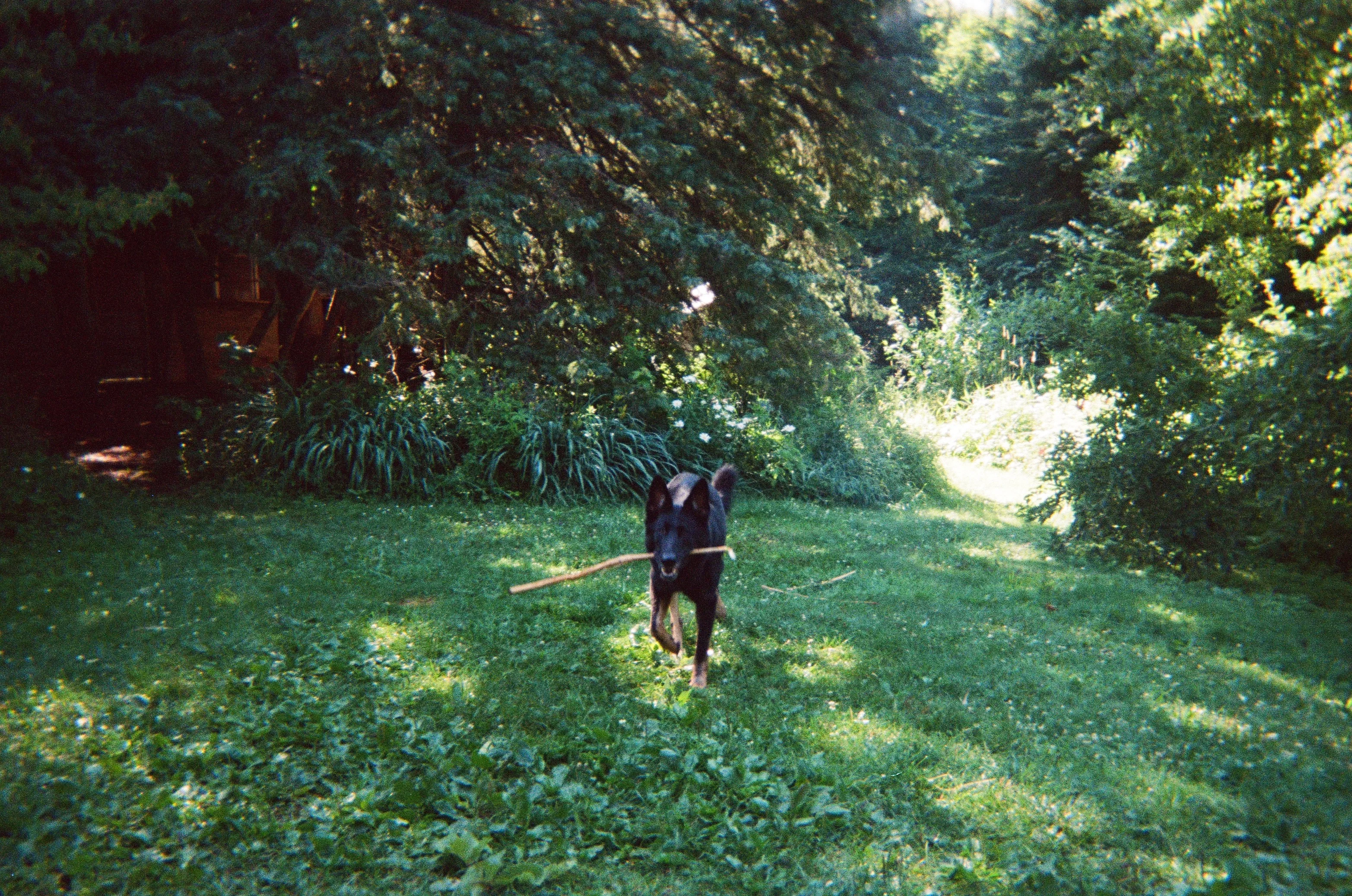 Summer in the Upper Peninsula - Photo 9